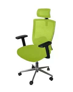 Green mesh ergonomic office chair with adjustable headrest armrests and a chrome base with five wheels.