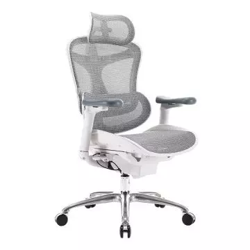 Light grey ergonomic mesh office chair with headrest and chrome base