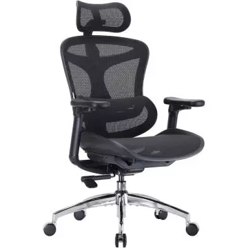 Sihoo Ergonomic Office Chair with 3D Adjustable Headrest, 4D Armrests and Dynamic Lumbar Support, Breathable Mesh High Back Chair with 130-Degree Reclining, Ideal for Home and Office, Black