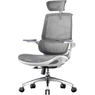 Sihoo Ergonomic High Back Office Chair with Footrest, Reclining Computer Chair with Thickened Spring Cushion, Adjustable Padded Armrests, Lumbar Support, Smooth Rocking Motion Ideal for Home and Office, Grey