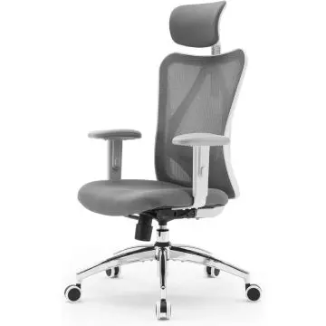 Sihoo M18 Office Desk Chair, Ergonomic Computer Office Chair with Adjustable Headrest and Lumbar Support,High Back Executive Swivel Chair, Grey