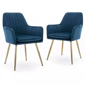 Pair of blue velvet dining armchairs with gold metal legs on white background