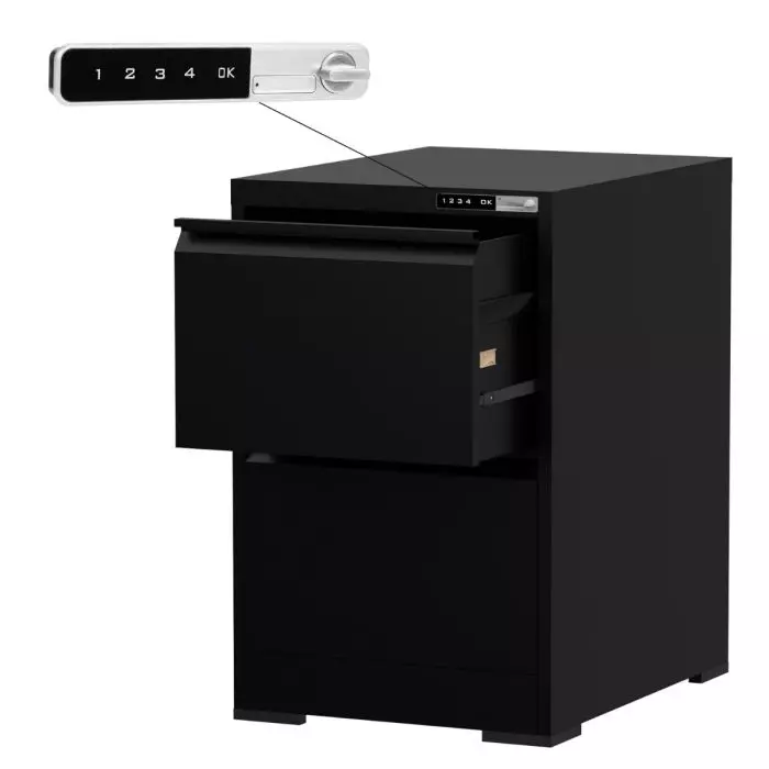 Godrej 2 Drawer Digital Filing Cabinet with Touchscreen Lock - Black Steel
