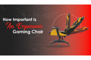 What Makes an Ergonomic Gaming Chair So Important for a Gamer?