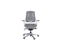 Robotto 608 Medium Back Ergonomic Mesh Chair Grey Elastomer