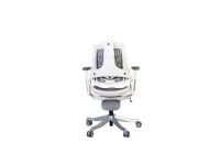 Robotto 608 Medium Back Ergonomic Mesh Chair Grey Elastomer
