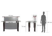 Gote 6065 Modern Glass Reception Desk