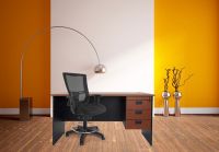 Isu 95550 High Back Ergonomic Mesh Chair for Office with Draft kit - Black