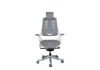 Robotto 609 High Back Ergonomic Mesh Chair Grey Elastomer