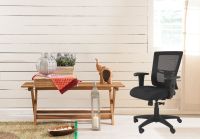 Isu 95551 Low Back Ergonomic Mesh Chair for Office - Black