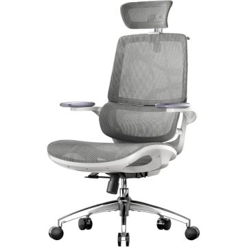 Sihoo Ergonomic High Back Office Chair with Footrest, Reclining Computer Chair with Thickened Spring Cushion, Adjustable Padded Armrests, Lumbar Support, Smooth Rocking Motion Ideal for Home and Office, Grey