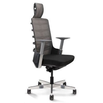 Spinelly high back ergonomic mesh chair angled rear view showing TPE spinal joint back structure and polished aluminium base