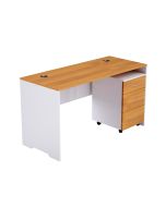 Zelda 246-16 Contemporary Office Desk