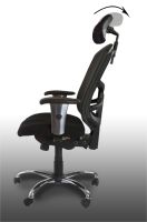 Mahmayi High Back Ergonomic Mesh Executive Office & Home Chair with Adjustable Height & Arms features and Caster wheel support - Black