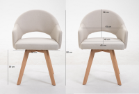 Nordic Ergonomic and Classic Dining Chair