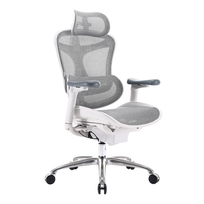 Light grey ergonomic mesh office chair with headrest and chrome base