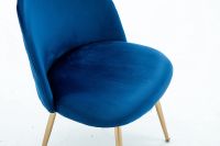 Mahmayi HYDC020 Velvet Blue Dining Chair for Living Room (Pack of 2)