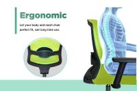 SleekLine T01B Medium Back Ergonomic Mesh Chair Green