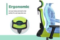 SleekLine T01B High Back Ergonomic Office Mesh Chair - Green