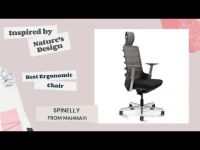 Spinelly High Back Ergonomic Mesh Chair Black