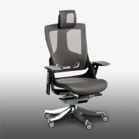 Executive High Back Ergonomic Mesh Chair Office Mesh Chair With Caster wheels Feature - Black