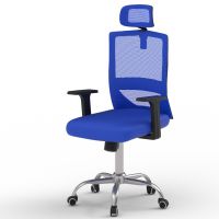 Mahmayi TJ HY-902 Medium Back Mesh Office chair with Lumbar Support with Headrest Blue