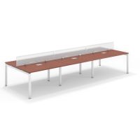 Shared Structure 6 Seater in Apple Cherry Color with Polycarbonate Dividers without Drawers without Mesh Chairs and Worktop W160cm x D60cm