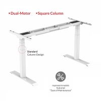Mahmayi Flexispot Standing Desk Dual Motor 3 Stages Electric Stand Up Desk 160cmx75cm Height Adjustable Desk Home Office Desk White Frame + Oak Desktop