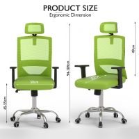 Mahmayi TJ HY-902 Medium Back Mesh Office chair with Lumbar Support with Headrest Green