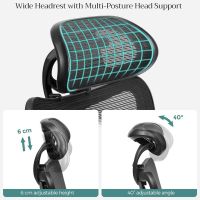 Mahmayi Office Chair, Ergonomic Desk Computer Chair, Mesh Chair, Adjustable Lumbar Support and Headrest Adjustable Height Black for Office, Home, Study Room