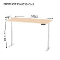 Mahmayi Flexispot Standing Desk Dual Motor 3 Stages Electric Stand Up Desk 120cmx75cm Height Adjustable Desk Home Office Desk White Frame + Oak Desktop
