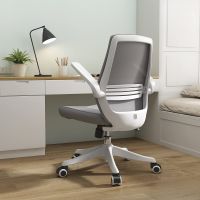 Mahmayi Sihoo Mahmayi M76-1 Height Adjustable Ergonomic Office Chair - Grey