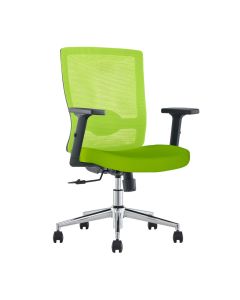 SleekLine T01B Medium Back Ergonomic Mesh Chair Green
