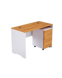 Zelda 246-14 Contemporary Office Desk