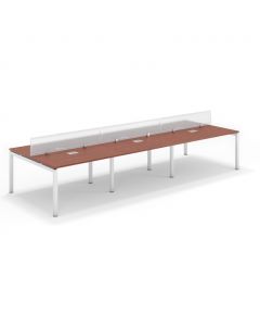 Shared Structure 6 Seater in Apple Cherry Color with Polycarbonate Dividers without Drawers without Mesh Chairs and Worktop W160cm x D75cm