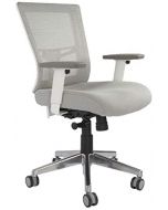 Isu 95551 Low Back Ergonomic Mesh Chair for Office - White