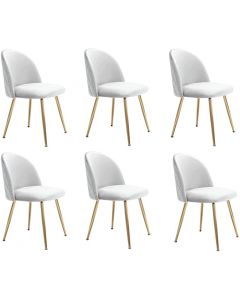 Mahmayi HYDC020 Velvet Grey Dining Chair for Living Room (Pack of 6)