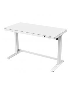 Mahmayi All-in-One Height Adjustable Standing Desk with USB Charging - White
